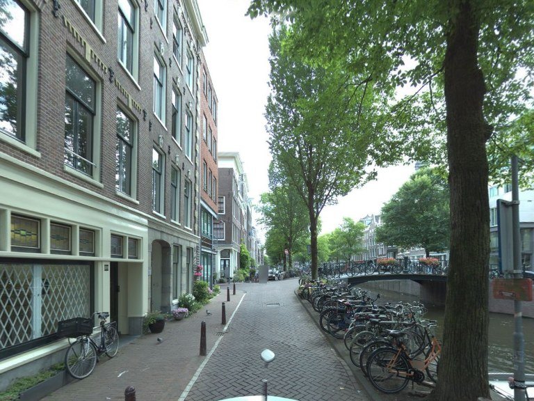 Back view